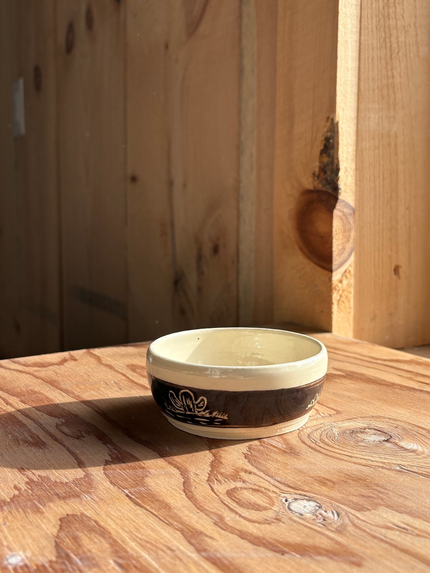 Cactus Trinket Bowls